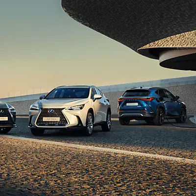 lexus özel servisi istanbul kağıthane